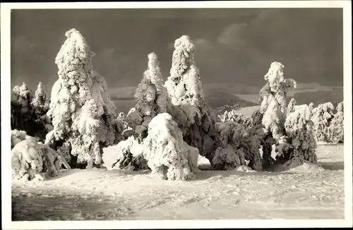 Ak Niederreifenberg Schmitten im Taunus, Großer Feldberg im Winter