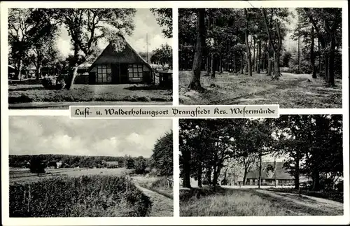 Ak Drangstedt Geestland, Waldpartie, Häuser