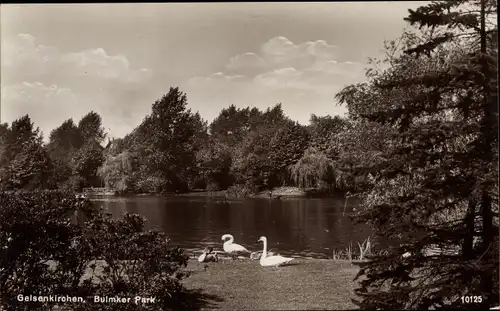 Ak Bulmke Hüllen Gelsenkirchen im Ruhrgebiet, Bulmker Park