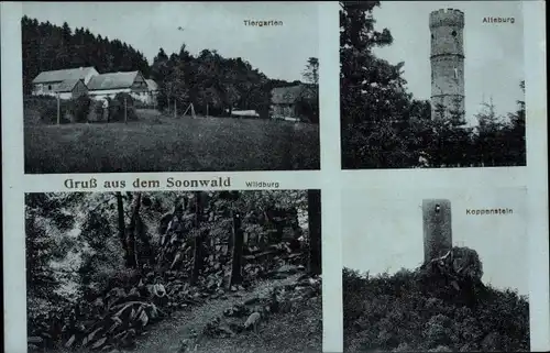 Ak Soonwald Hunsrück Forsth. Thiergarten Argenthal, Koppenstein Henau, Alteburg, Wildburg Sargenroth