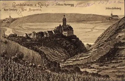 Ak Gundelsheim am Neckar Württemberg, Schloss Hornegg, Ruine Ehrenberg, Schloss Guttenberg