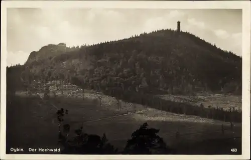 Foto Ak Oybin in der Oberlausitz, Zittauer Gebirge, Hochwald