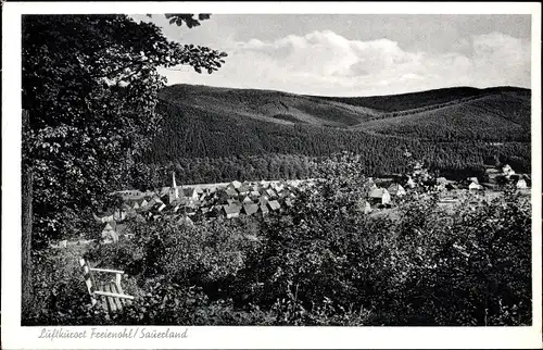 Ak Freienohl Meschede im Sauerland, Gesamtansicht