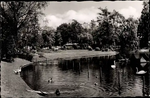 Ak Bad Salzuflen in Lippe, Schwanenteich im Kurpark