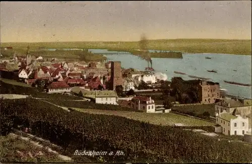 Ak Rüdesheim am Rhein, Ort mit Umgebung