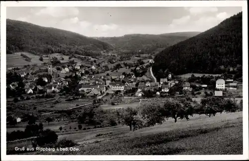 Ak Rippberg Walldürn im Odenwald, Gesamtansicht