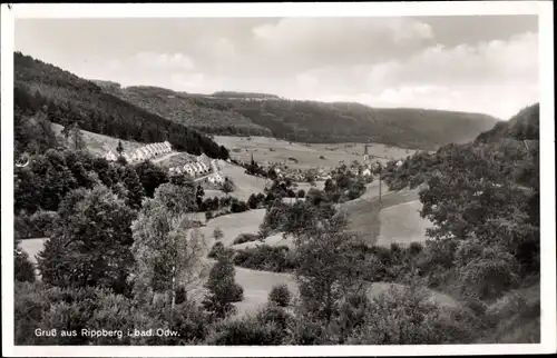 Ak Rippberg Walldürn im Odenwald, Gesamtansicht