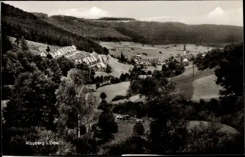 Ak Rippberg Walldürn im Odenwald, Gesamtansicht
