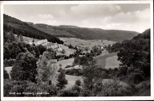 Ak Rippberg Walldürn im Odenwald, Gesamtansicht