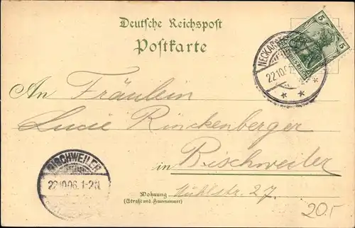 Litho Neckarsteinach in Hessen, Rathaus, Gasthof zum Schiff, Schloss, Gesamtansicht