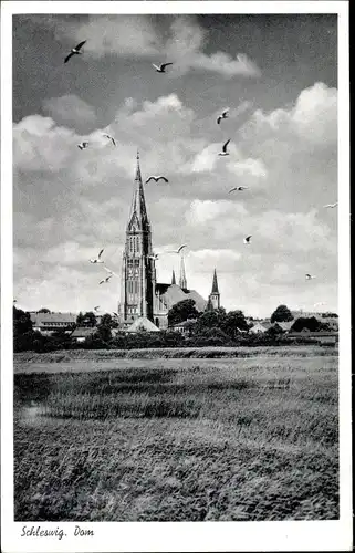 Ak Schleswig an der Schlei, Dom