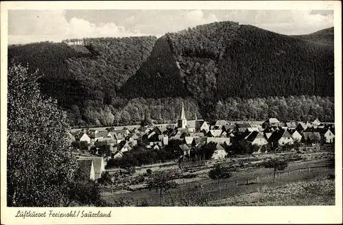 Ak Freienohl Meschede im Sauerland, Gesamtansicht