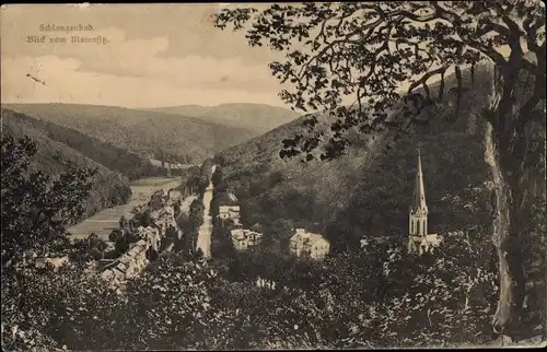 Ak Schlangenbad im Taunus Hessen, Blick auf Ort mit Umgebung, Teilansicht