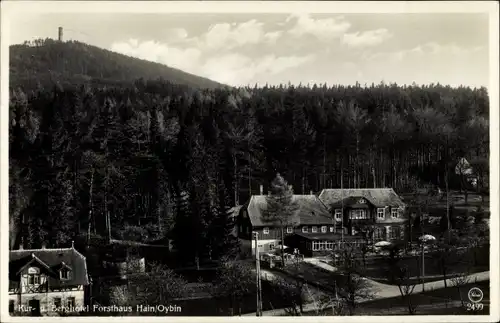 Ak Hain Hayn Oybin, Blick auf Kur und Berghotel Forsthaus