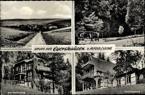 Ak Eyershausen Freden an der Leine, Teilansicht, Marilisekenburg, Haus Ingeborg, Waldpartie