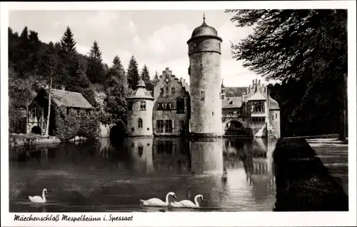 Ak Mespelbrunn im Spessart Unterfranken, Märchenschloss, Schwäne