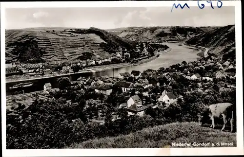 Ak Niederfell Gondorf an der Mosel, Gesamtansicht