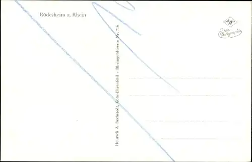 Ak Rüdesheim am Rhein, Blick zum Ort, Weinflaschen, Weintrauben