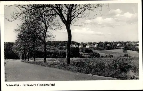 Ak Flammersfeld im Westerwald, Teilansicht