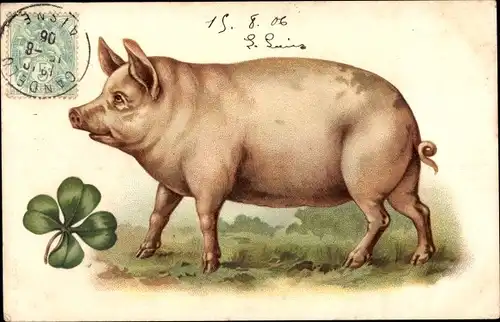 Litho Ausgewachsenes Schwein, Kleeblatt, Cochon