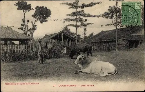 Ak Saigon Cochinchine Vietnam, Une Ferme