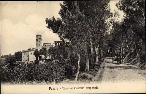Ak Pesaro Marche, Viale al Castello Imperiale