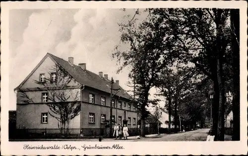 Ak Heinrichswalde Kaliningrad, Grünbäumer Allee