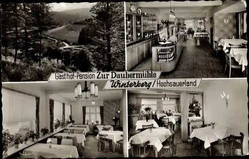 Ak Winterberg im Sauerland, Gasthof und Pension Zur Daubermühle, Teilansicht