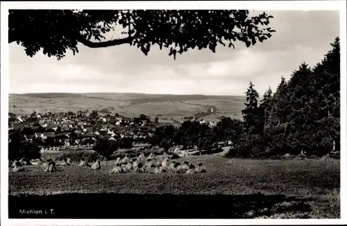 Ak Miehlen im Taunus, Gesamtansicht