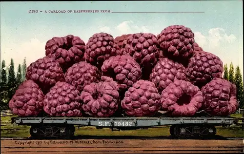 Ak USA, A Carload of Raspberries, S.F. 79482