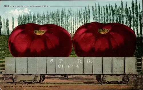 Ak USA, A Carload of Tomatos, S.P.R.R. 81424