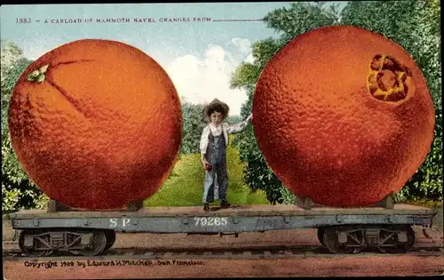 Ak USA, A Carload of Mammoth Navel Oranges, S.P. 79265