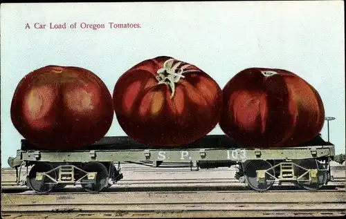 Ak USA, A Carload of Oregon Tomatoes, S.P. 103