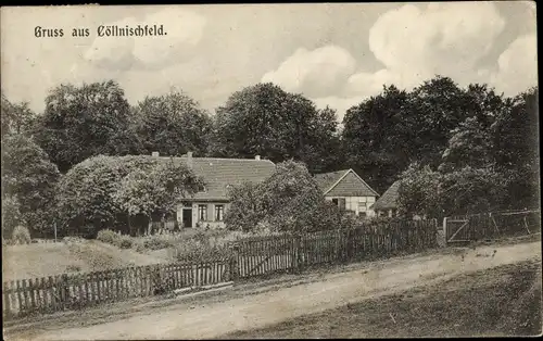 Ak Köllnischfeld Cöllnischfeld Springe am Deister, Dorfpartie