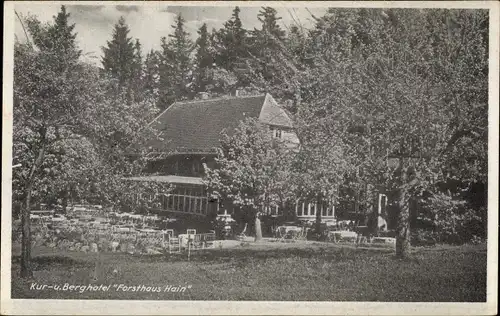 Ak Hain Hayn Oybin in der Oberlausitz, Kur und Berghotel Forsthaus Hain