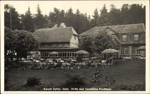 Ak Hain Hayn Oybin in der Oberlausitz, Hotel und Gaststätte Forsthaus