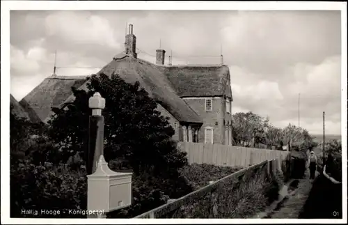 Ak Hallig Hooge in Nordfriesland, Königspesel