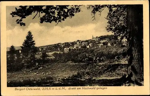 Ak Osterwald Salzhemmendorf Niedersachsen, Hochwald, Gesamtansicht