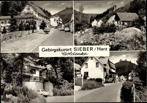 Ak Sieber Herzberg am Harz, Goldenke, Ortsansichten