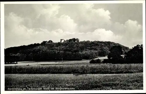 Ak Borgholzhausen in Westfalen, Burg Ravensberg, Ravensburg