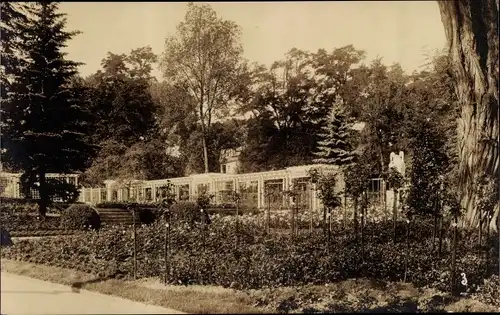 Ak Mainz am Rhein, Deutsche Rosenschau 1925