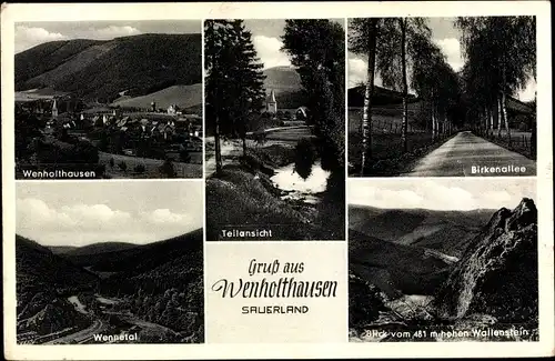 Ak Wenholthausen Eslohe im Sauerland, Teilansicht, Birkenallee, Wennetal, Wallenstein