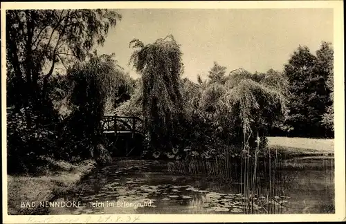 Ak Bad Nenndorf an der Weser, Teich im Erlengrund