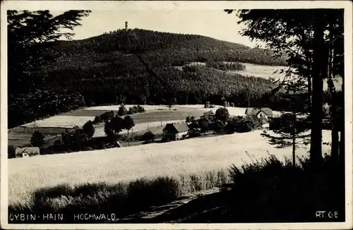 Foto Ak Hain Hayn Oybin Oberlausitz, Teilansicht mit Hochwald