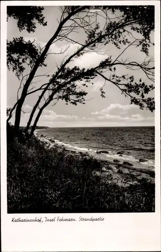 Ak Katharinenhof Insel Fehmarn, Strandpartie