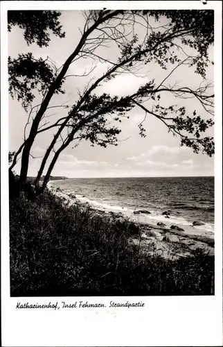 Ak Katharinenhof Insel Fehmarn, Strandpartie