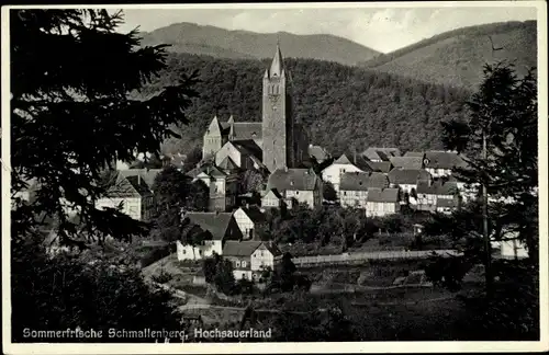 Ak Schmallenberg im Sauerland, Teilansicht