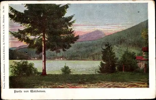 Künstler Ak Walchensee Kochel am See, Teilansicht