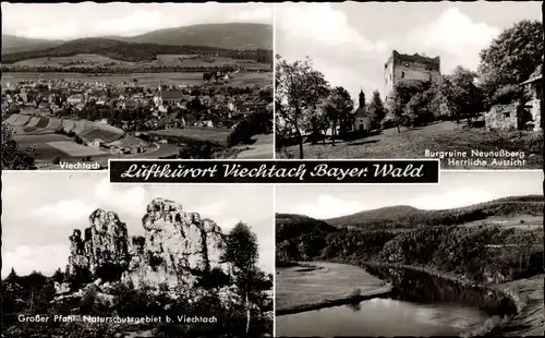 Ak Viechtach im Bayerischen Wald Niederbayern, Burgruine Neunußberg, Großer Pfahl