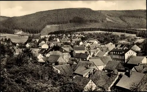 Ak Frankenhain in Thüringen, Ortsansicht, Wohnhäuser